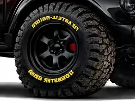 1955  Volkswagen Beetle - Thumbnail 2