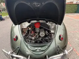 1953  Volkswagen Escarabajo - Thumbnail 12
