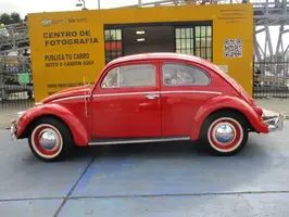 1961  Volkswagen Escarabajo - Thumbnail 4