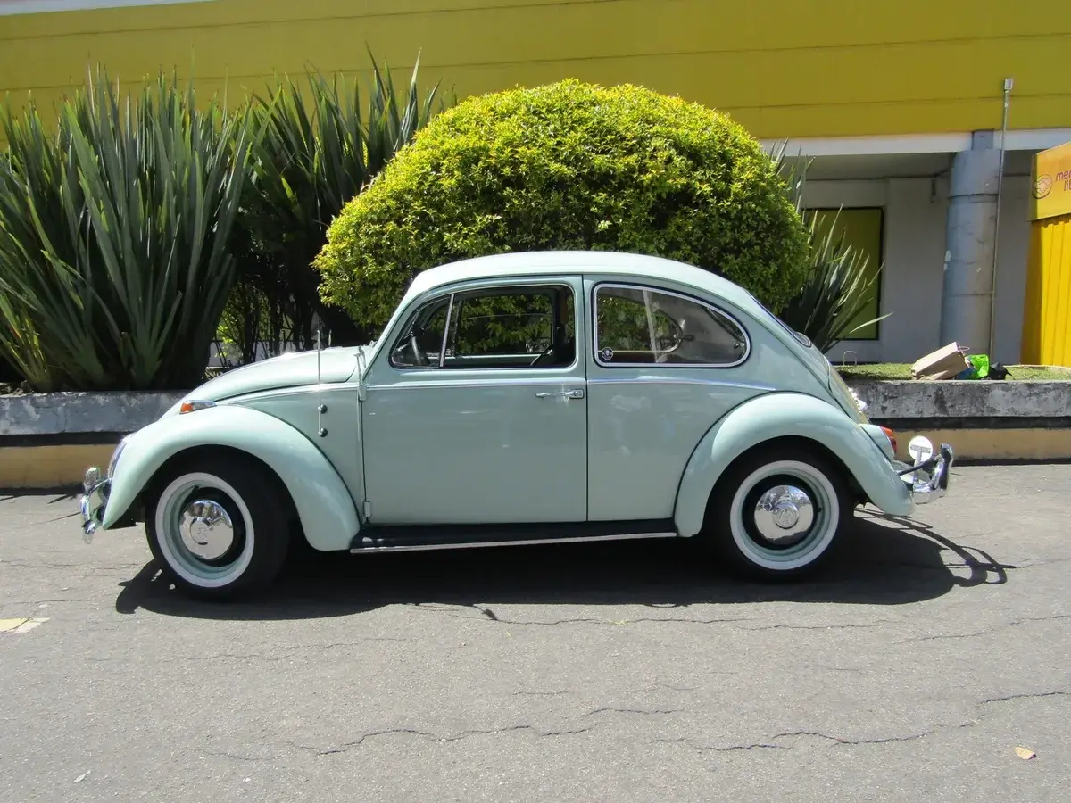 Volkswagen Escarabajo (1966) Rear View
