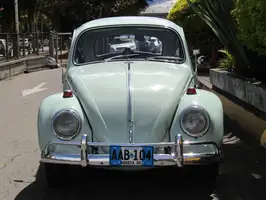 1966  Volkswagen Escarabajo - Thumbnail 8