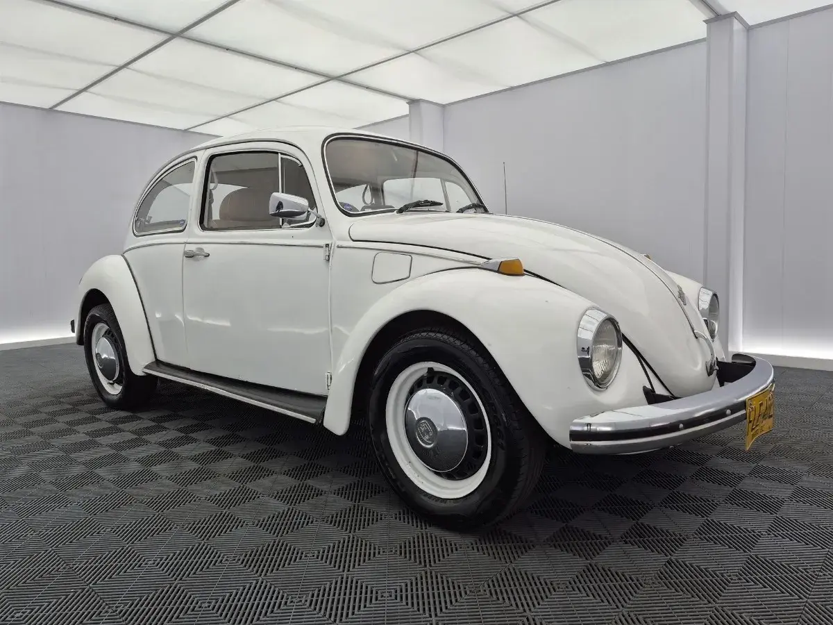 Volkswagen Escarabajo (1969) Rear View