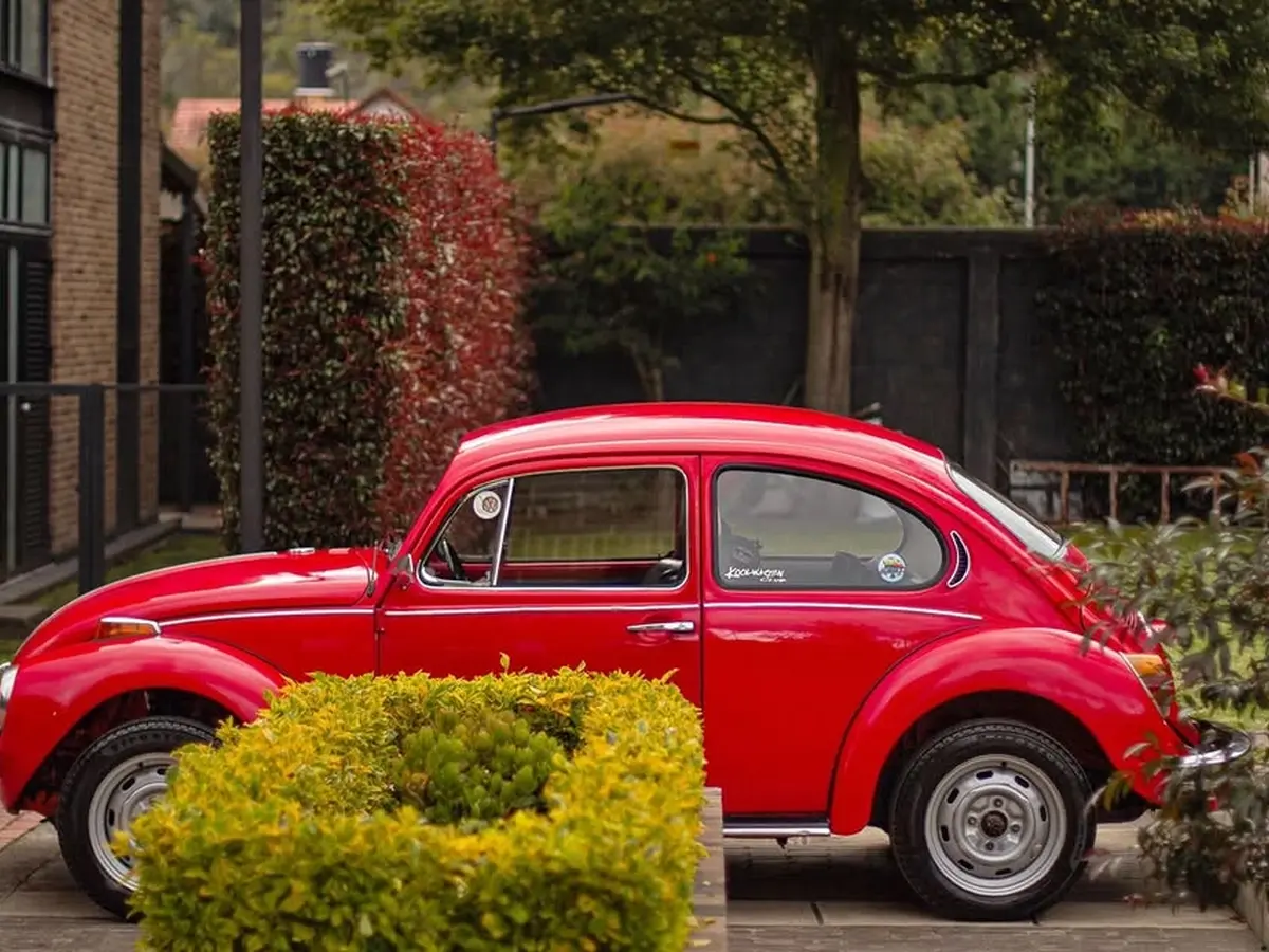 1971  Volkswagen Escarabajo - Main image