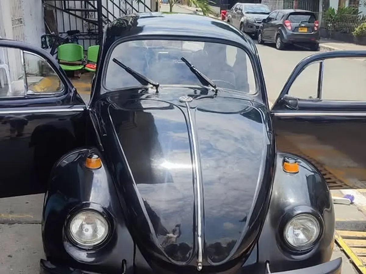 Volkswagen Escarabajo (1974) Rear View