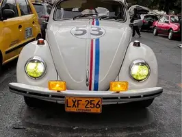 1979  Volkswagen Escarabajo - Thumbnail 6